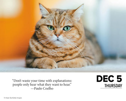 Cats 2024 6.2 X 5.4 Box Calendar