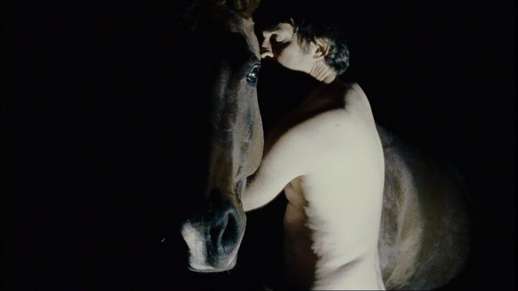Zoo: KinoKontrovers