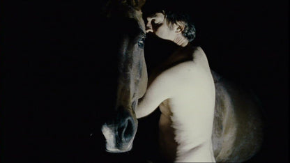 Zoo: KinoKontrovers