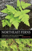 Northeast Ferns