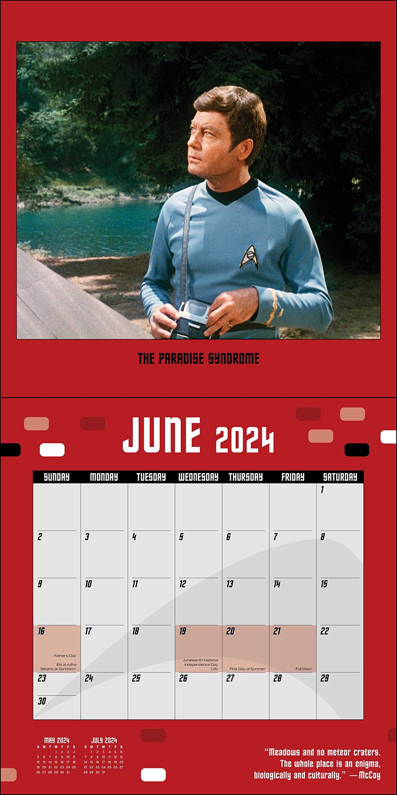 Star Trek 2024 Wall Calendar