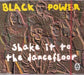black power - shake it to the dancefloor ( radio mix / extended mix ) / good lovin ( extended mix )