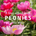 A Love Affair with Peonies Calendar 2024