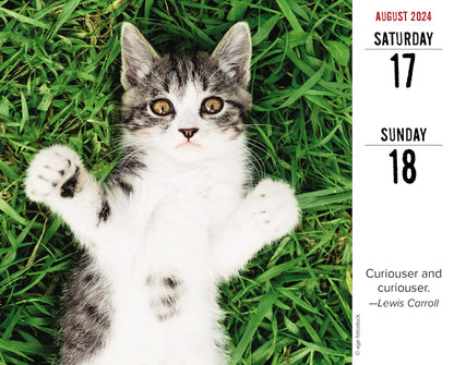 Bad Kitties 2024 6.2 X 5.4 Box Calendar