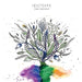 Heliotrope