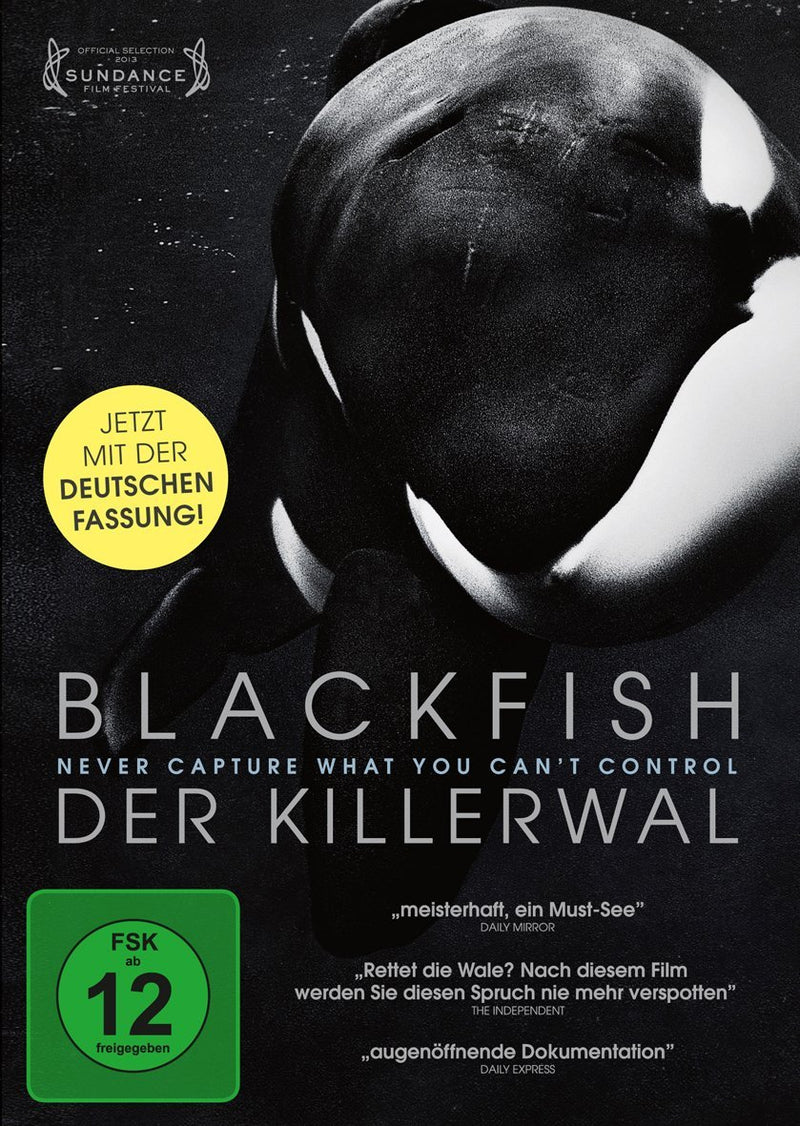 Blackfish: Der Killerwal - Never capture what you can't control