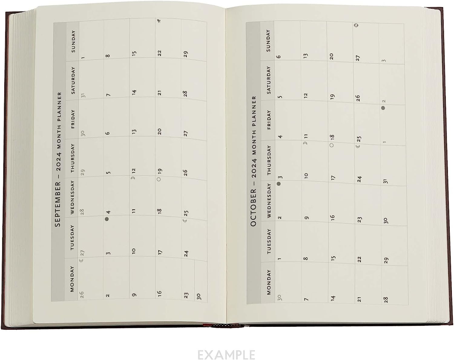 Anemone (William Kilburn) Maxi 18-month Dayplanner 2024