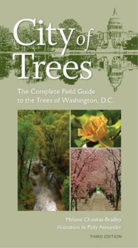 City of Trees