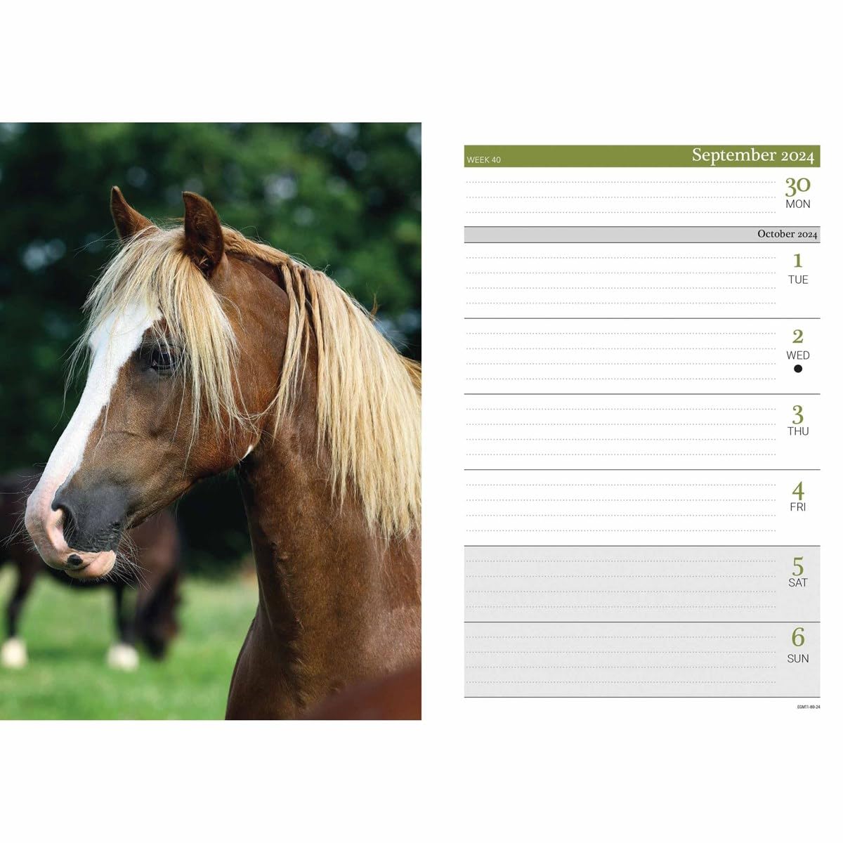 2024 Horses A5 Engagement Diary