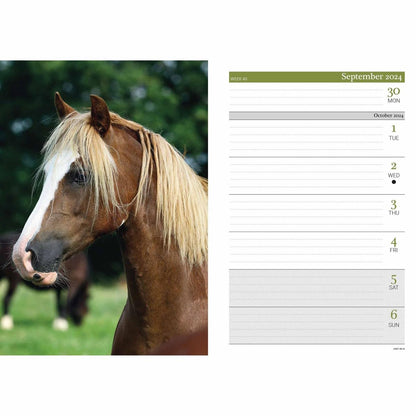 2024 Horses A5 Engagement Diary