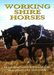 Working Shire Horses