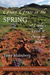 Green Grass in the Spring