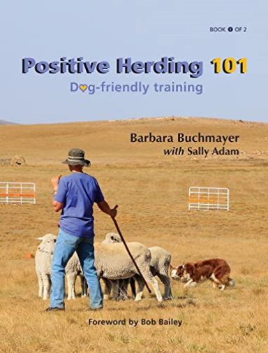 Positive Herding 101