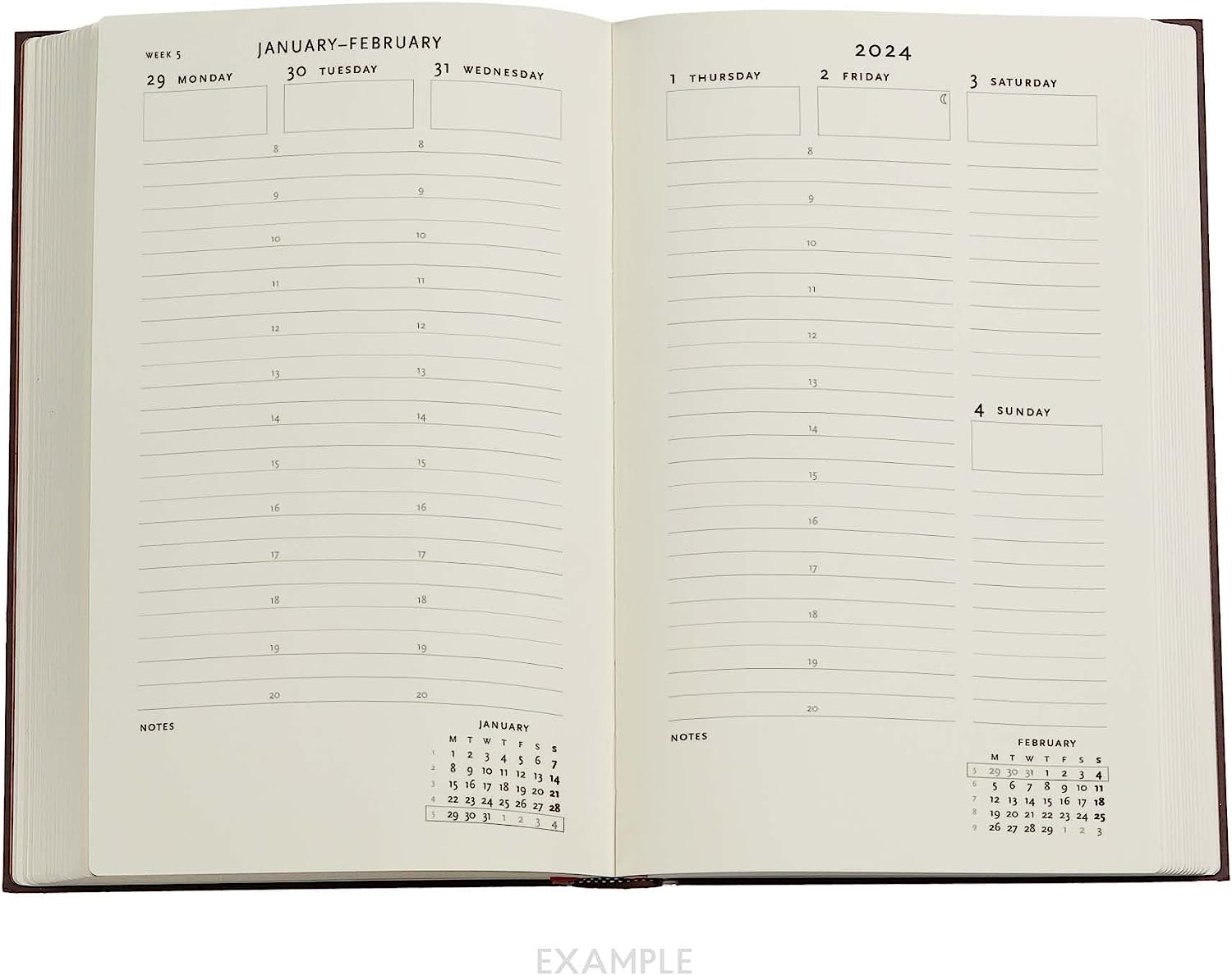 Anemone (William Kilburn) Maxi 18-month Dayplanner 2024