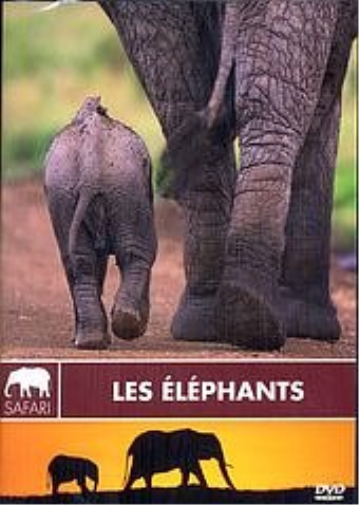 Les Eléphants