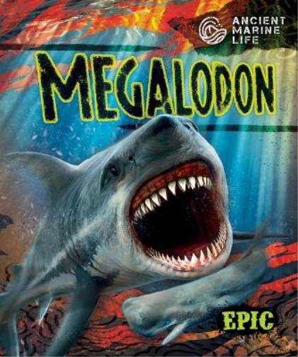 Megalodon
