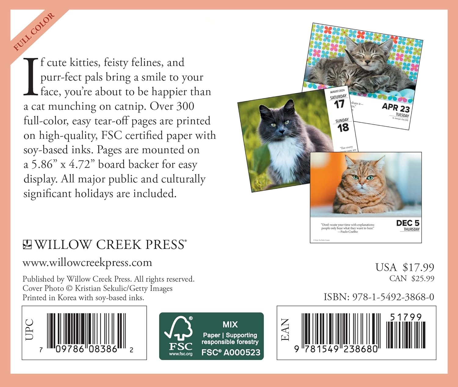 Cats 2024 6.2 X 5.4 Box Calendar