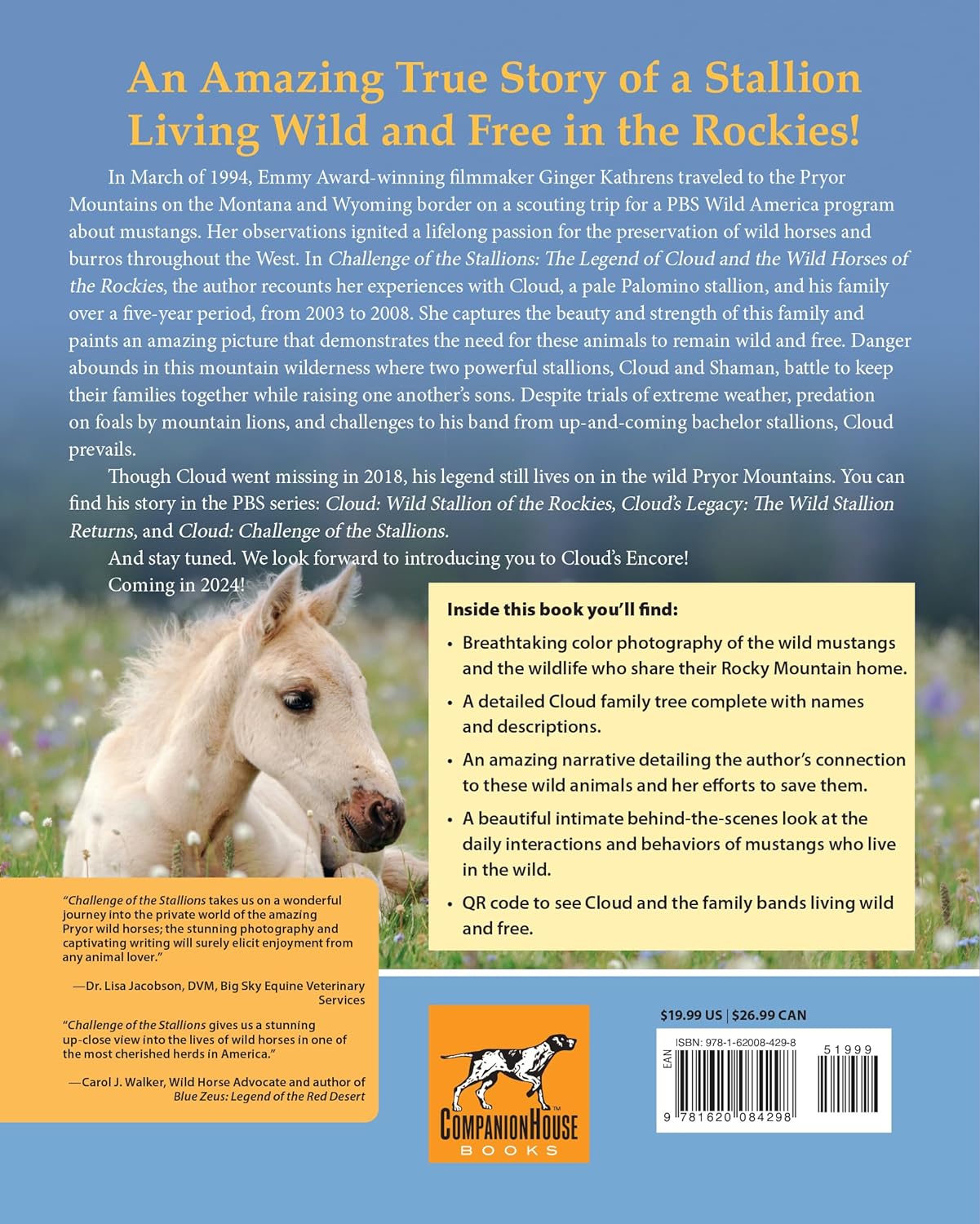 Challenge of the Stallions