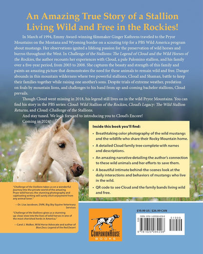 Challenge of the Stallions