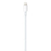 Apple Lightning/USB C Kabel 1,0 m weiB