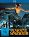 Karate Warrior