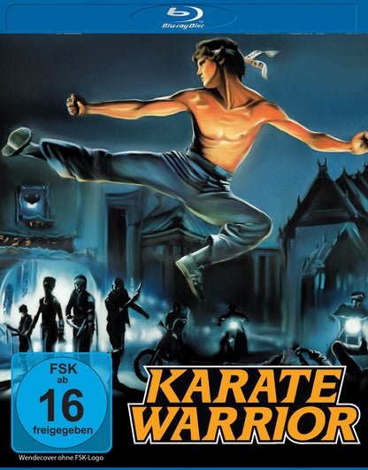 Karate Warrior