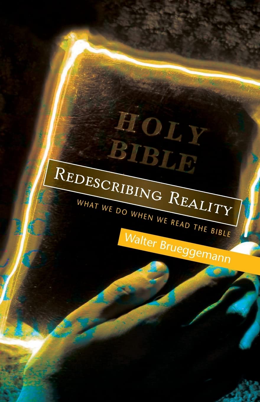Redescribing Reality