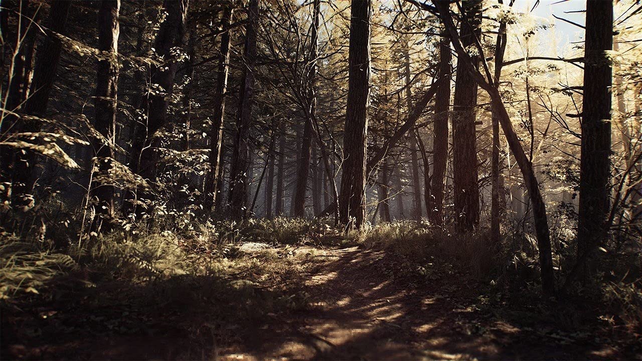 Lionsgate Games Blair Witch PS4