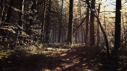 Lionsgate Games Blair Witch PS4