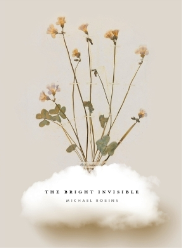 The Bright Invisible