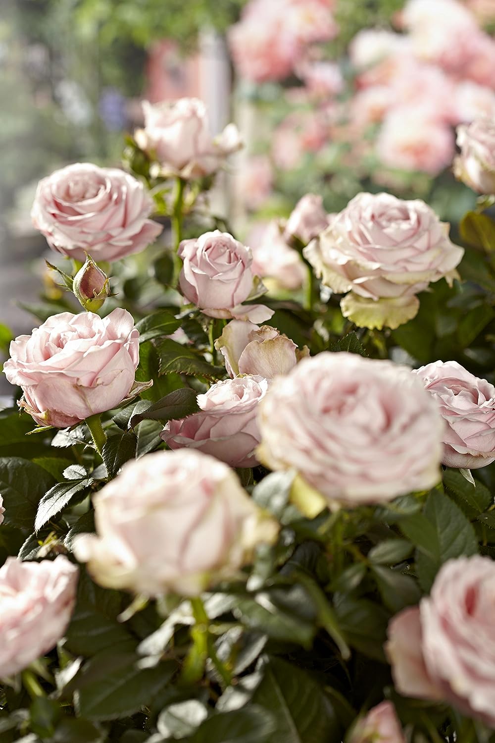 GARDENA Gartenschere