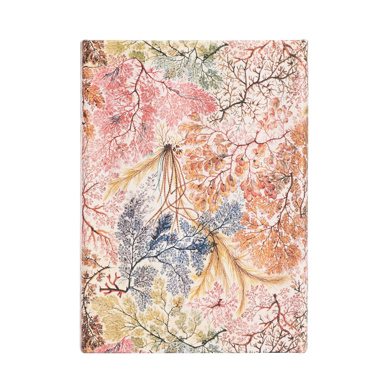 Anemone (William Kilburn) Midi Verso 12-month Dayplanner 2024