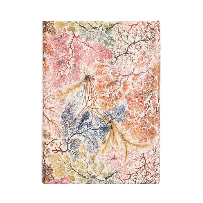 Anemone (William Kilburn) Midi Verso 12-month Dayplanner 2024