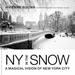 New York In The Snow