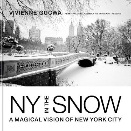 New York In The Snow