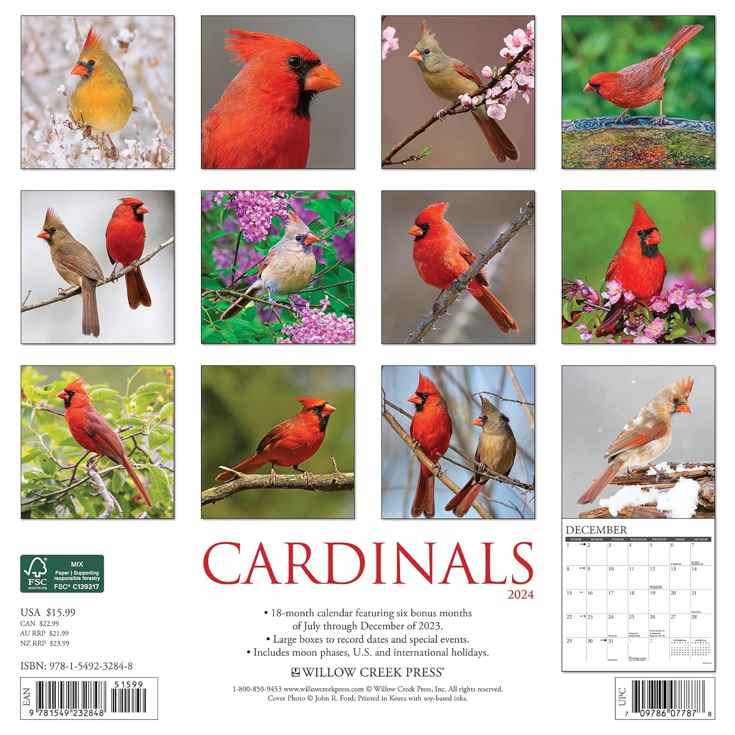 Cardinals 2024 12 X 12 Wall Calendar