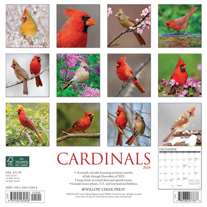 Cardinals 2024 12 X 12 Wall Calendar