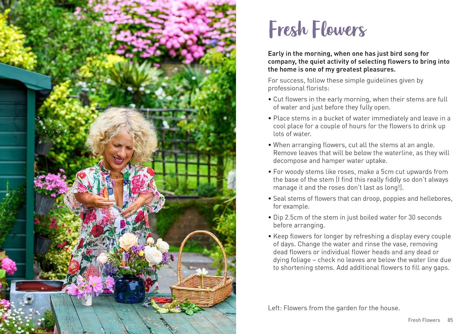 Sue Kent: Garden Notes