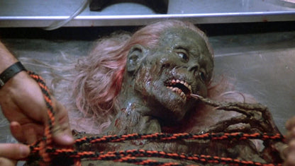 The Return of the Living Dead - Mediabook - Cover B - Limited Edition (Blu-ray+DVD)