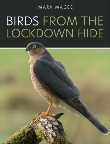 Birds From The Lockdown Hide