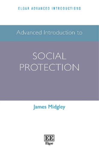 Advanced Introduction to Social Protection