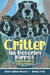 Critter, the Motoring Marmot