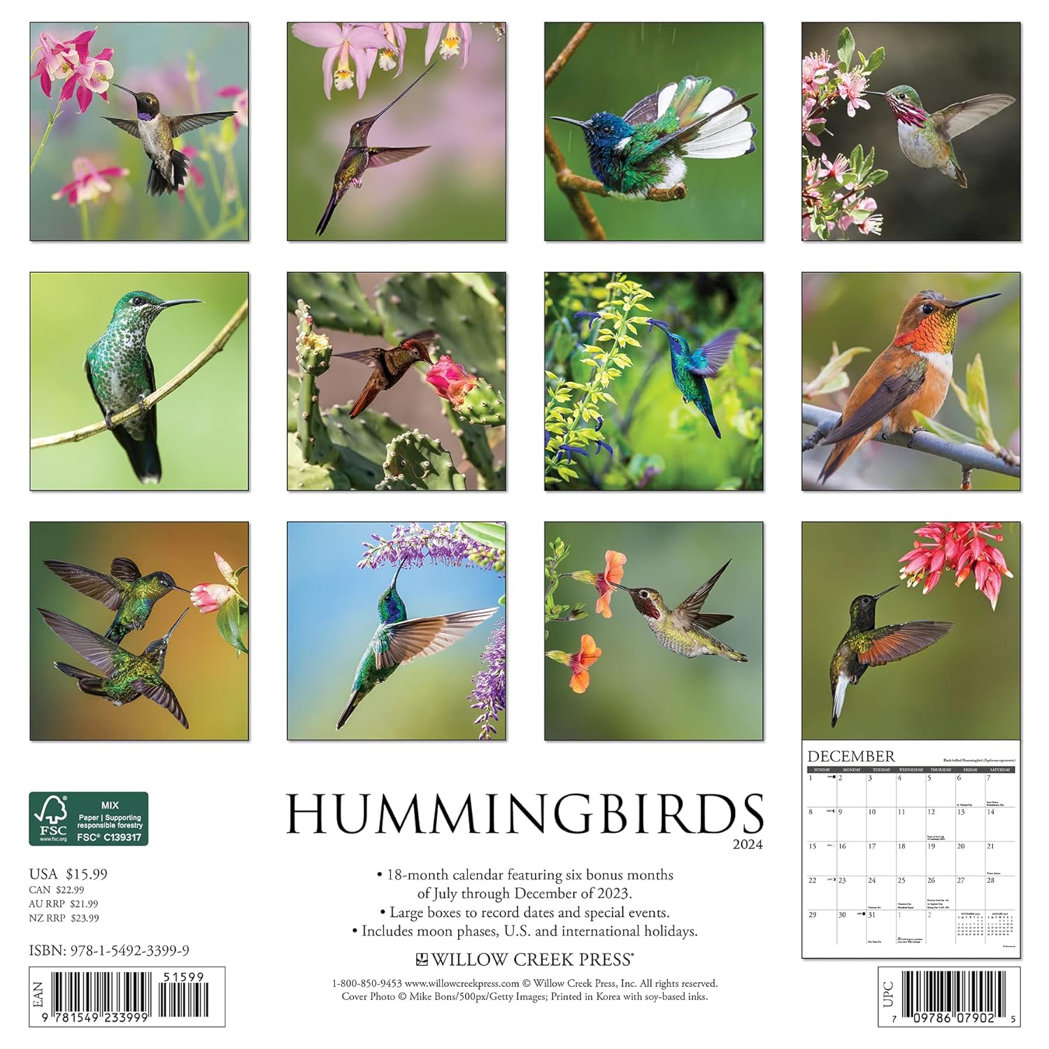 Hummingbirds 2024 12 X 12 Wall Calendar