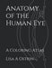 Anatomy of the Human Eye