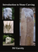 Introduction to Stone Carving