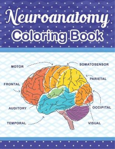 Neuroanatomy Coloring Book