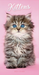 2024 Kittens Slim Diary