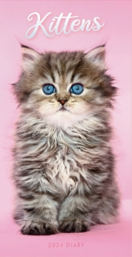 2024 Kittens Slim Diary