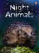 Night Animals