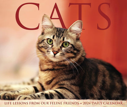 Cats 2024 6.2 X 5.4 Box Calendar